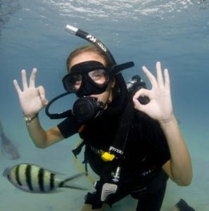 See the fishies!