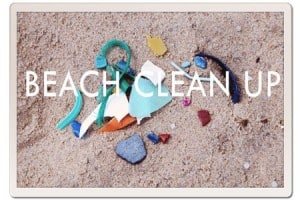 Beach Clean up in Koh Tao, Thailand