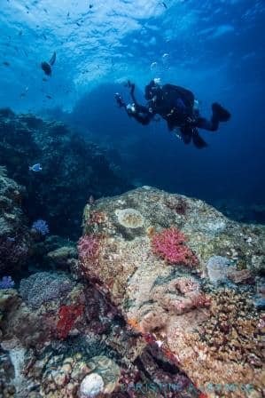 Underwater Photgrapher