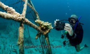 BioRock_Koh Tao_Ayesha_Cantrell_003