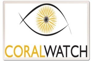 Coral-Watch Framed