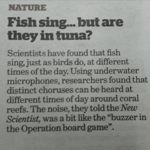 Do Fish Fart? 1 Loving the reference to childhood favourite 'Operation'. Brilliant!
