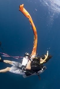 Deploying a dSMB from underwater.