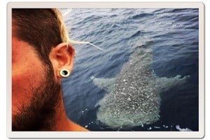Whale Shark selfie from the Master Divers scuba diving boat