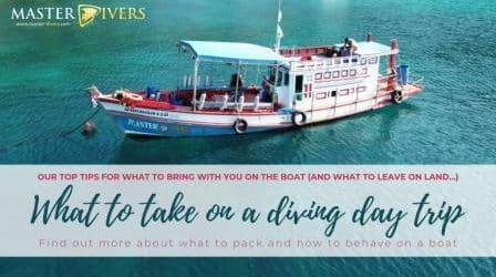 what-to-bring-on-a-dive-boat