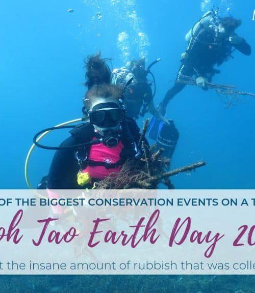 Koh Tao Earth Day 2019