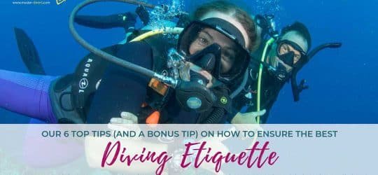 Diving-Etiquette