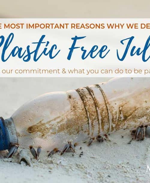 Master Divers joins #plasticfreejuly