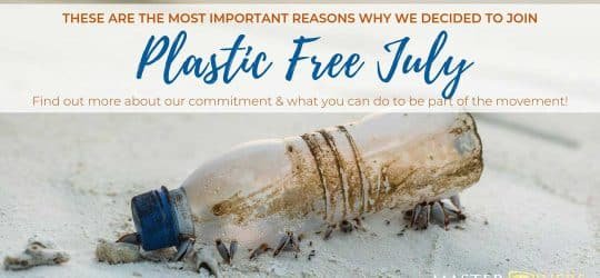 plastic-free-july-challenge