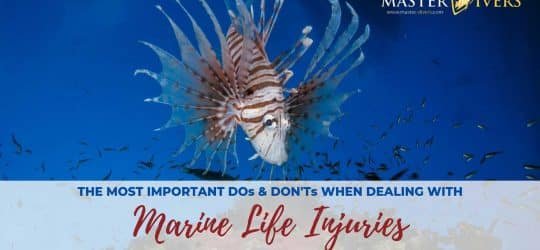 Marine-Life-Injuries