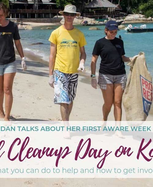 AWARE week &#038; World Cleanup Day