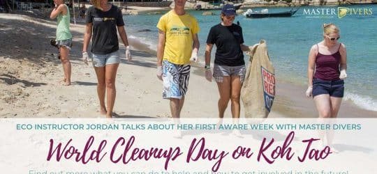 World-Cleanup-Day-Activities-on-Koh-Tao