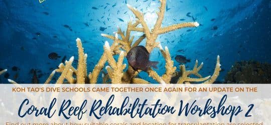 Coral-Reef-Rehabilitation-Workshop-(Update)