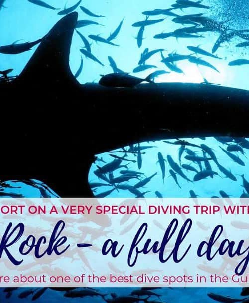 Sail Rock &#8211; a full day trip with Master Divers