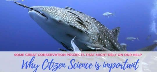 why-citizen-science-is-important