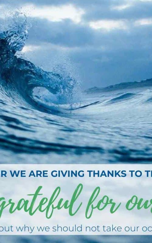 Grateful for the Ocean &#8211; Thanksgiving Special