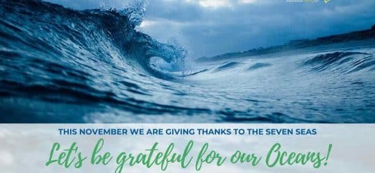 Grateful-for-our-oceans-Blog-Header