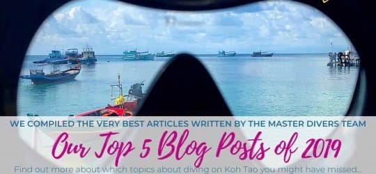 Our-Top-5-Blog-Posts-of-2019-cover