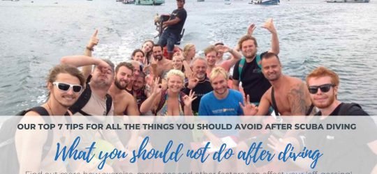 What-you-should-not-do-after-scuba-diving