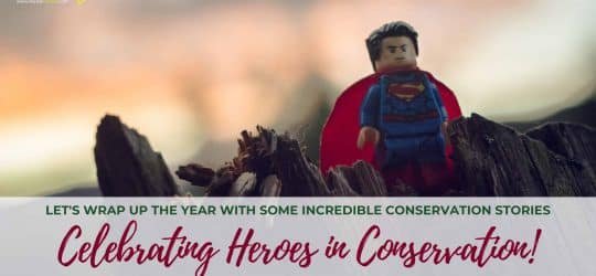 Heroes-in-Conservation-blog-cover