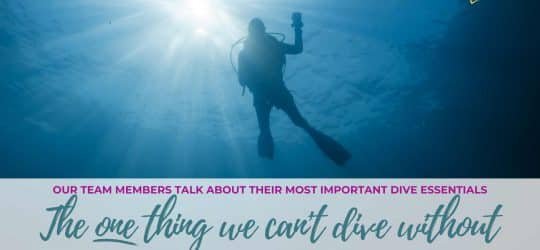 The-one-thing-we-can't-dive-without