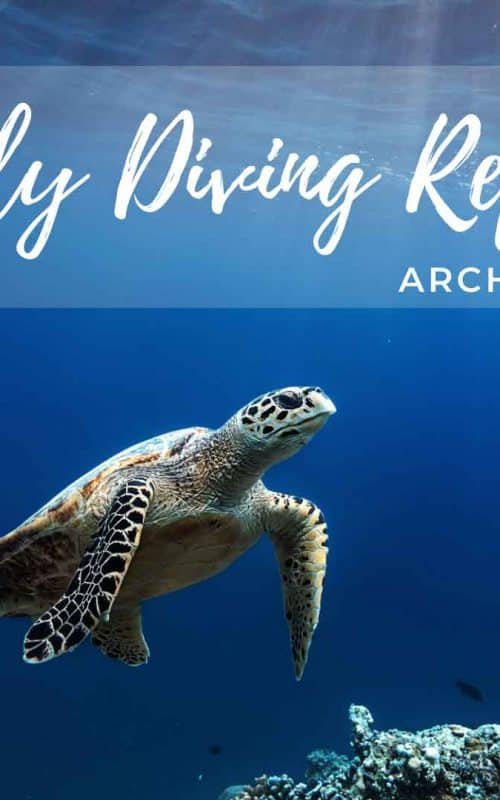 Weekly Diving Reports &#8211; Archive 2018