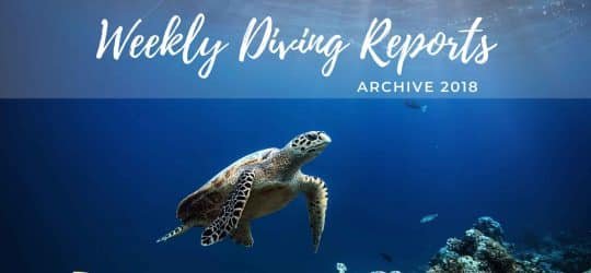 Weekly-Diving-Report-Archive-2018