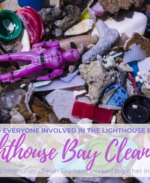 Lighthouse Bay Clean-up