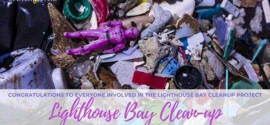 Lighthouse Bay Clean-up Project