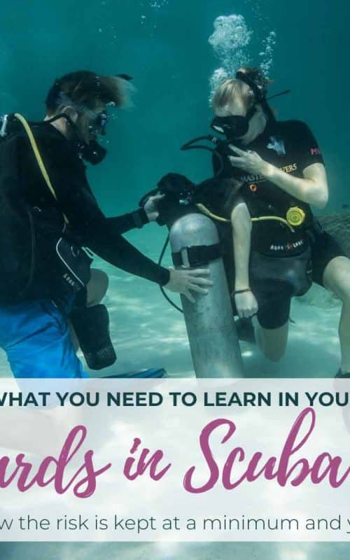 Who Decides What You Need To Learn In Your Dive Course?