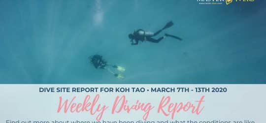 Weekly-Diving-Report-March-7th-13th-2020