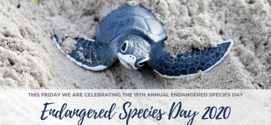 Endangered Species Day 2020