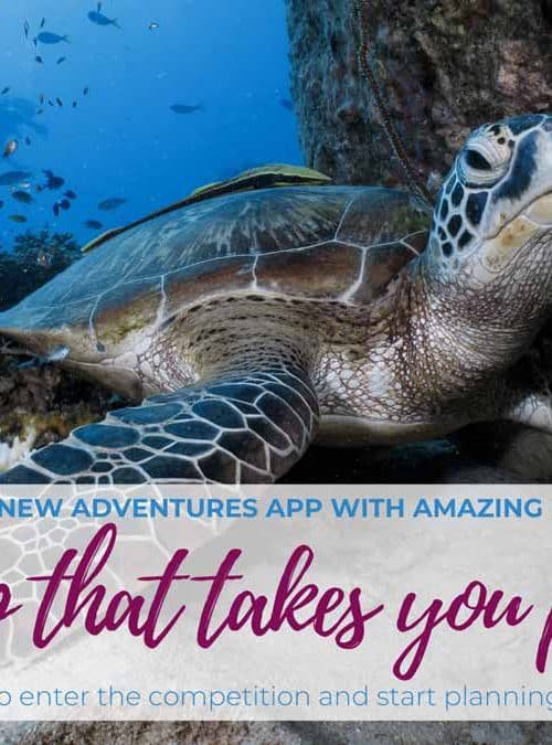 PADI launches a new Adventures app