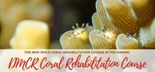 DMCR Coral Rehabilitation course