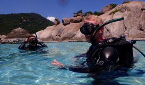 Home page Master Divers | Premier Dive Center in Koh Tao | Thailand