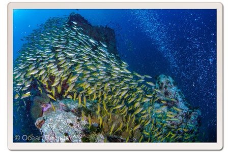 Chumphon Pinnacle