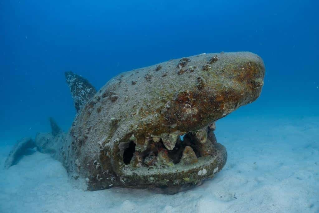 artificial-shark-buoyancy-world-koh-tao