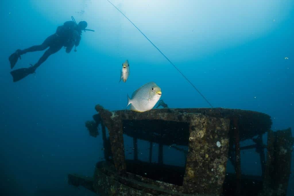 diver-at-sattakut-koh-tao