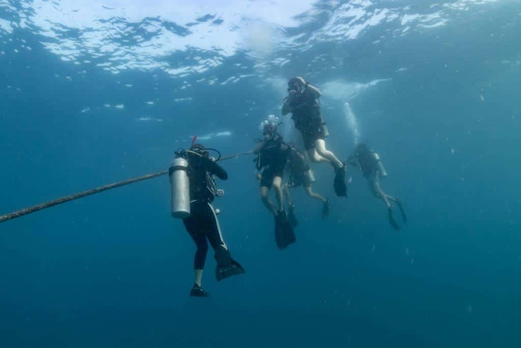 divers-coming-down-the-line