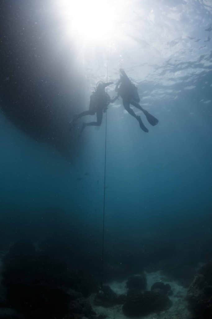 divers-descending