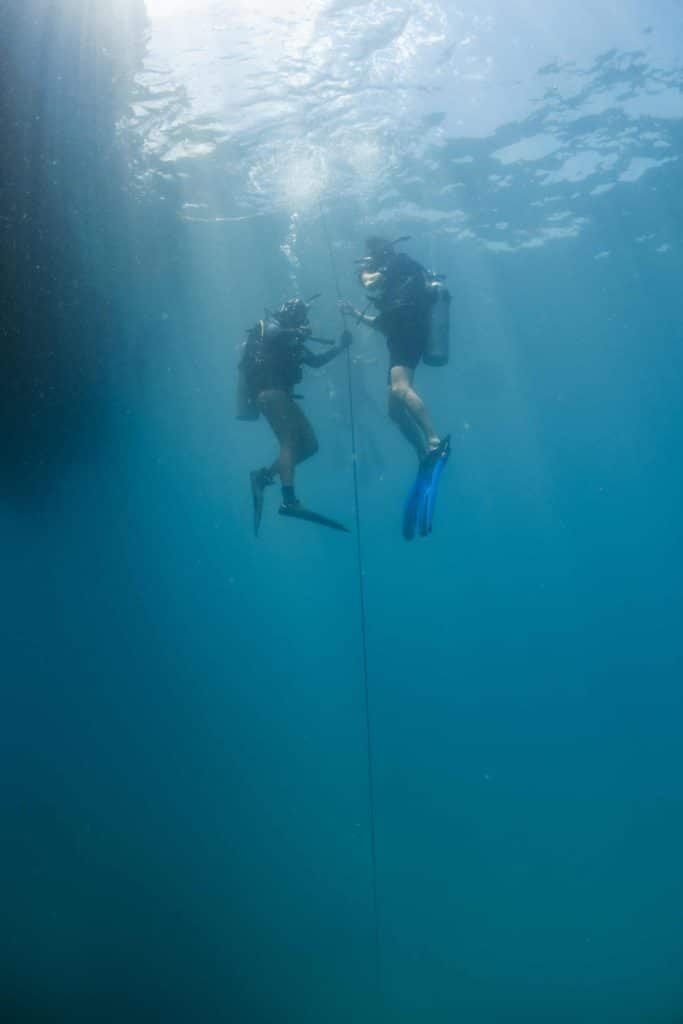 divers-during-a-descent