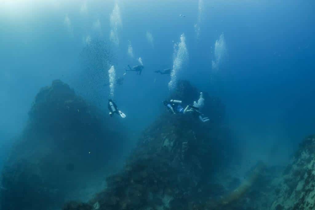 divers-exploring-southwest-pinnacle