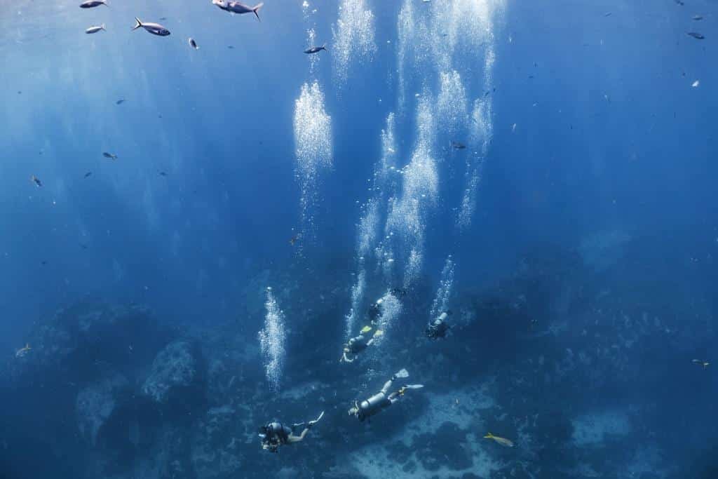 divers-from-above-with-bubbles