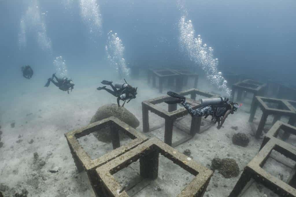 divers-over-artificial-reef