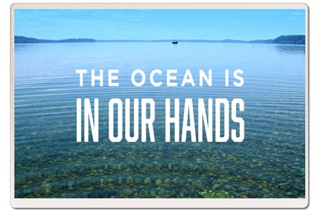 marine-conservation