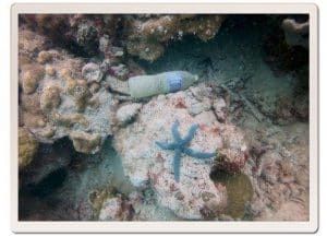 master divers life matthew lyne underwater bottle