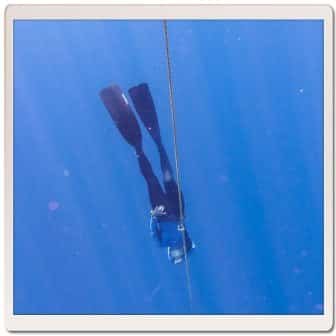 Freediving