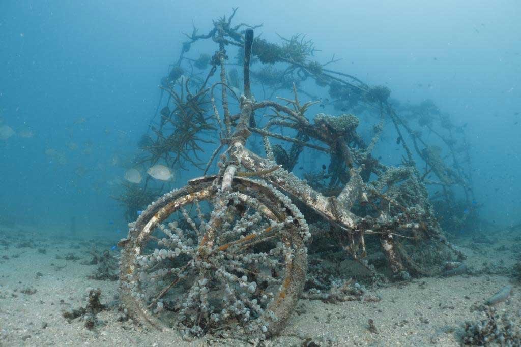 motorbike-artificial-reef