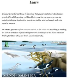 orca sound screenshot 2