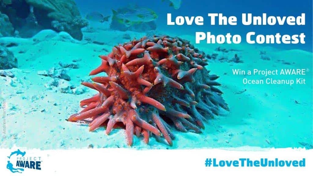 project-aware-love-the-unloved-photo-contest